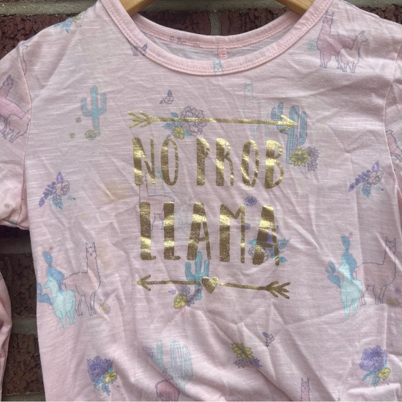 Mudd Light Pink Llama Floral Graphic Long Sleeve Top - Picture 2 of 3